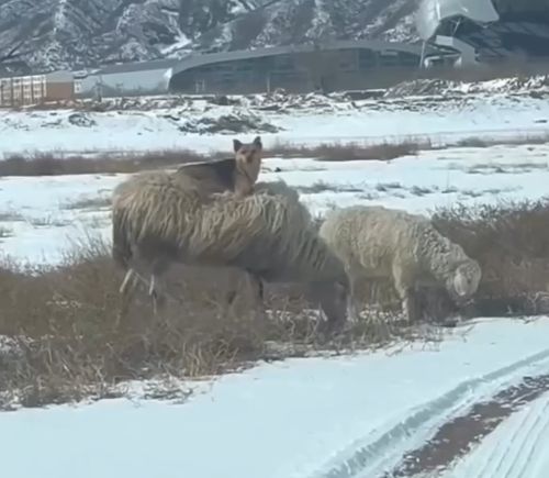 Не нужно лезть в его дела⁠⁠