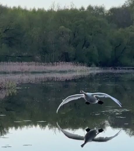 Мягкая посадка