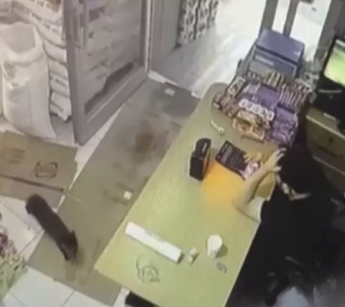 Подстава от котеньки или как присесть на измену на ровном месте⁠⁠
