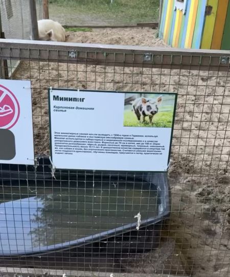 Когда пришёл на свидание с красоткой из Тиндера