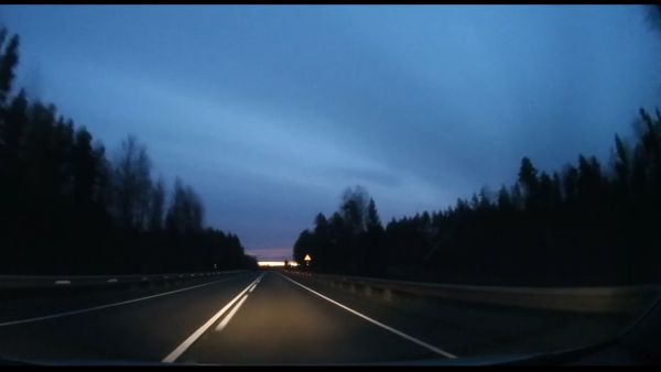Лось