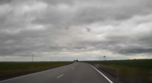 Просто гады...