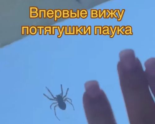 Каналы гидравлики и суставы растягивает⁠⁠