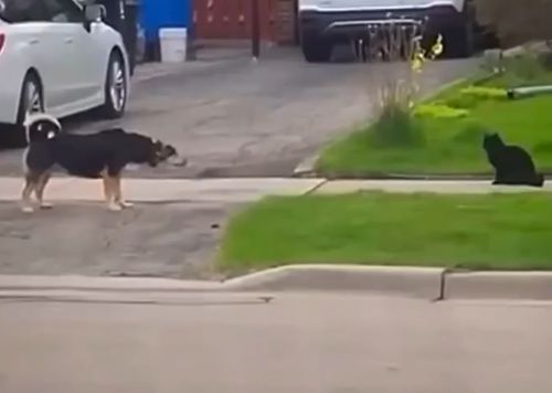 Очень страшно⁠⁠