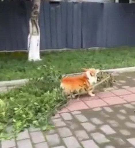 Художественный фильм "Сп@здили")