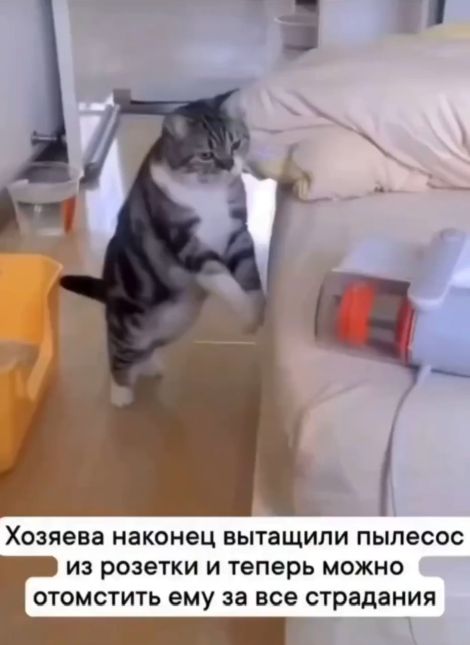А вот теперь можно и поговорить⁠⁠