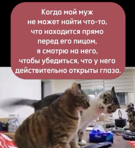 Жизненно