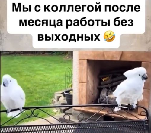 Это счастье⁠⁠