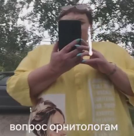 Что? Где? Когда?⁠⁠