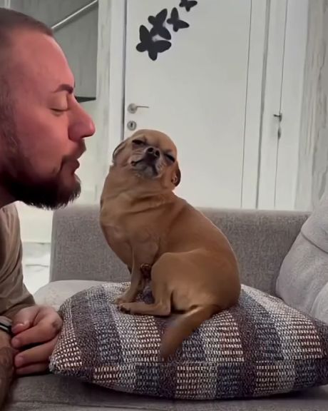 Love dogs⁠⁠