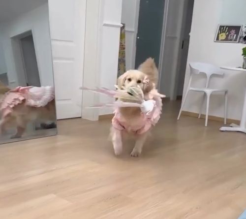 Когда в душе ты фея⁠⁠