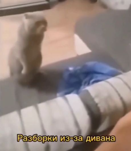 Чётко дал понять свою позицию