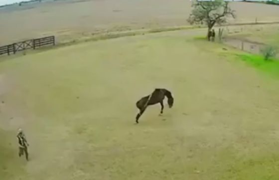 Чуть не скопытился