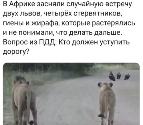 ПДД⁠⁠