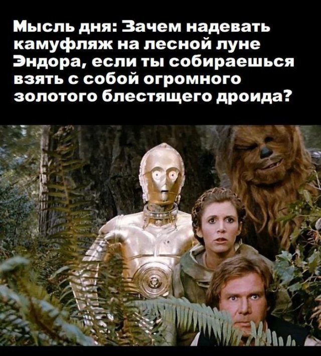 Шутки и мемы 31.08.2025