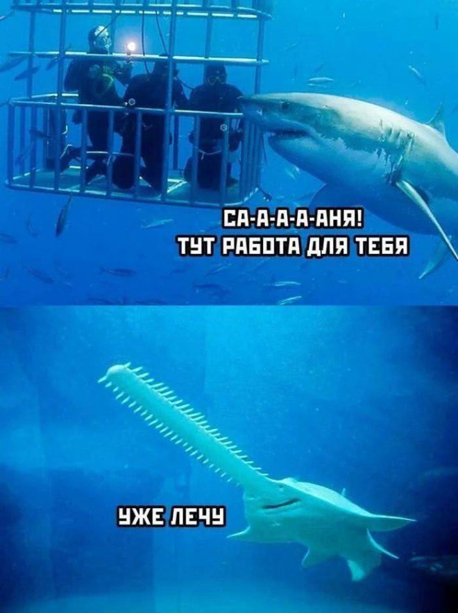Подборка мемов