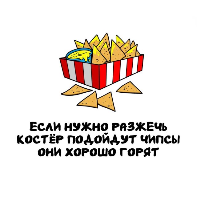 Интересные факты на все случаи жизни (15 фото)