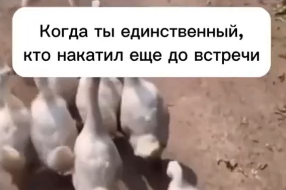 И сразу веселее стало⁠⁠