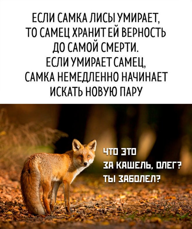 Подборка мемов
