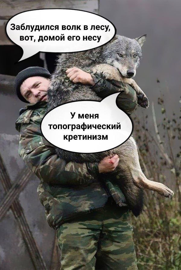 Шутки и мемы 24.08.2025