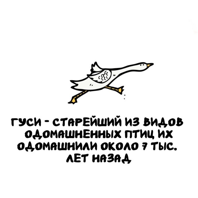 Интересные факты на все случаи жизни (15 фото)