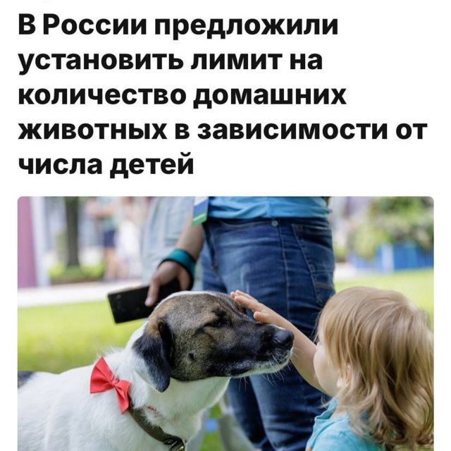 Приколы и картинки 20.08.2025