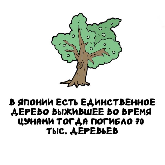 Интересные факты на все случаи жизни (15 фото)