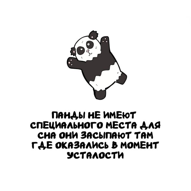 Интересные факты на все случаи жизни (15 фото)
