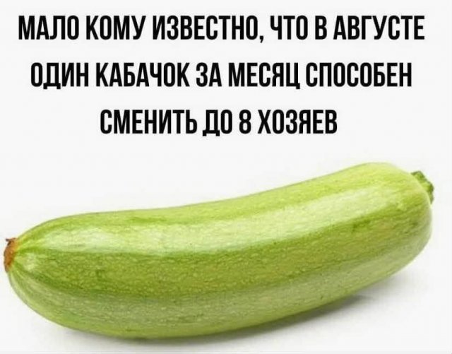 Приколы и картинки 15.08.2025
