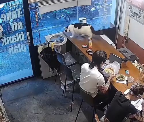 Просто у вас зонты слишком тяжелые⁠⁠