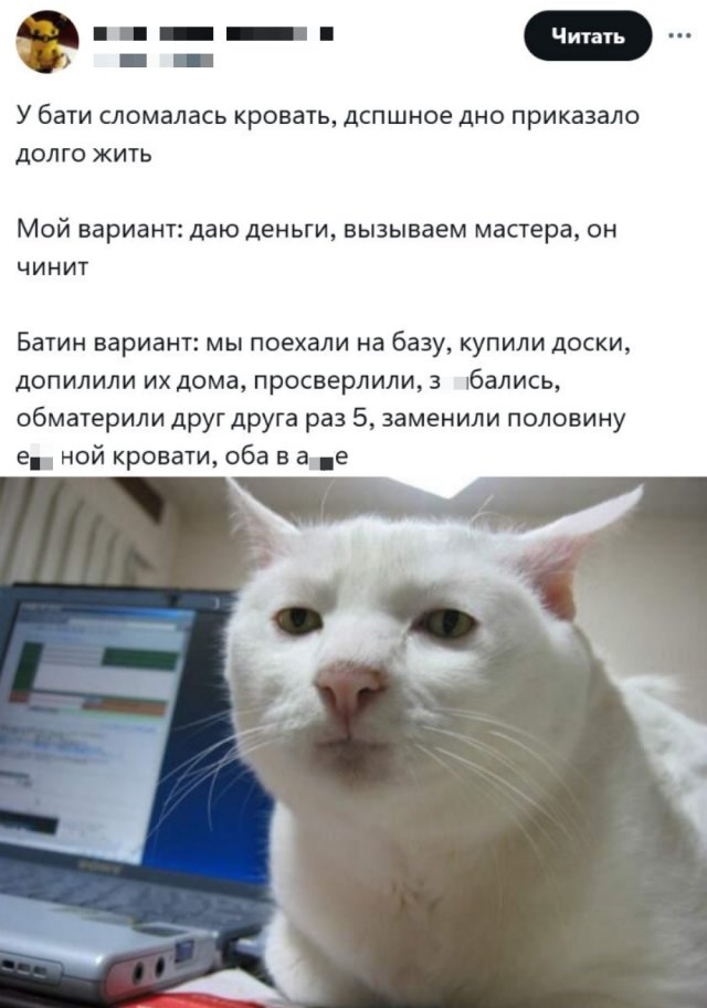 Приколы и картинки 28.08.2025