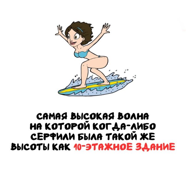 Интересные факты на все случаи жизни (15 фото)