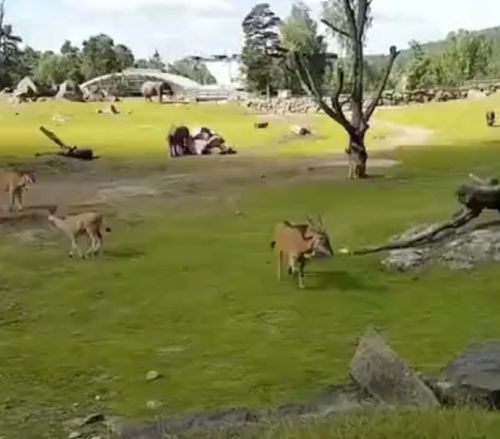 Мам, мам, мам, я упал!⁠⁠