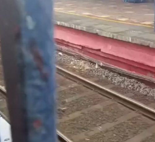 Сомы прибыли на 2й путь⁠⁠