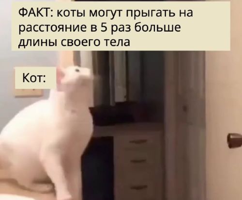 Могут, но у них лапки⁠⁠