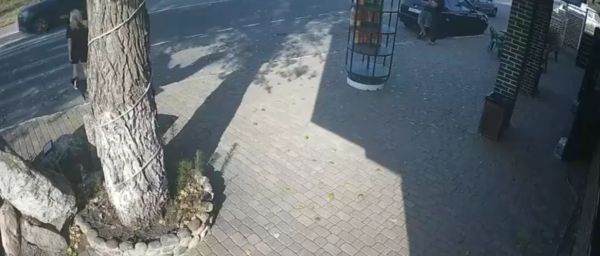 Собака осталась без хозяйки