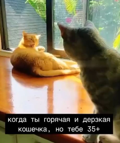 Когда ты горяча и хороша...⁠⁠