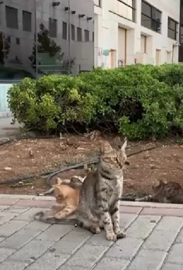 Мне этот мир абсолютно понятен