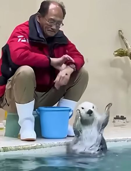 Самое милое животное⁠⁠