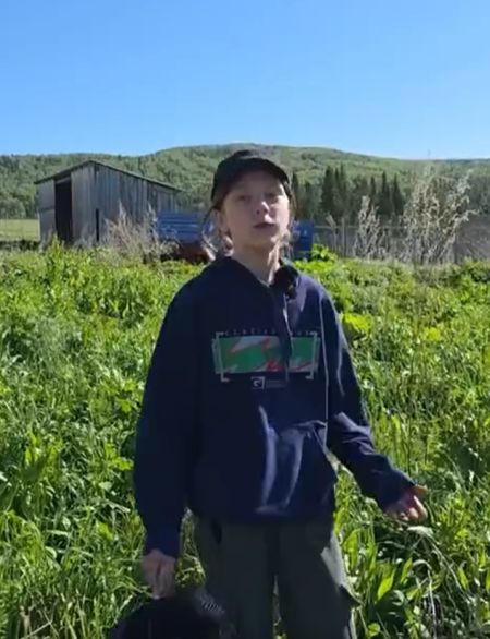 Любой городской житель увидит тут кучу травы