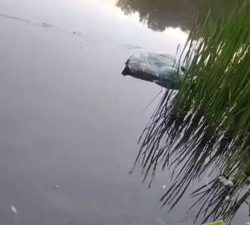 Бойцовский пруд...⁠⁠