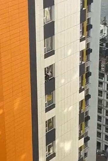 Москвичка встала на окно 27 этажа, чтобы его помыть