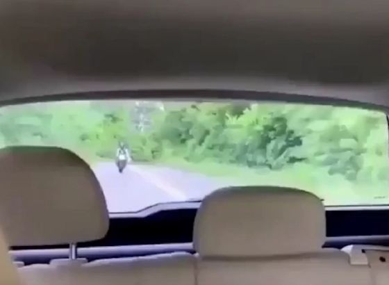 Лови! Чего молчишь, Поймал?⁠⁠