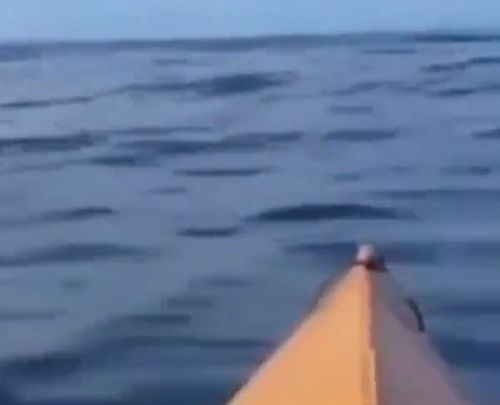 Неожиданные гости⁠⁠