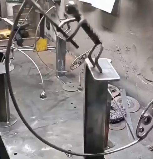 Жизнь в движении...⁠⁠