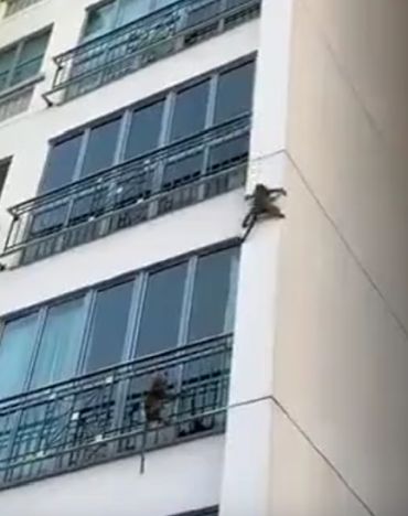 Окна лучше не открывать⁠⁠
