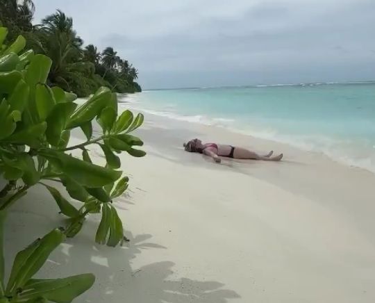 Девушка встретила котенка на Мальдивах и забрала малыша с собой в Москву