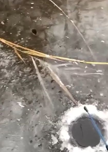 Повезло рыбаку, что на него глаз не положила⁠⁠
