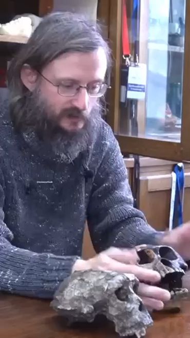 Переходное звено от обезьяны к человеку