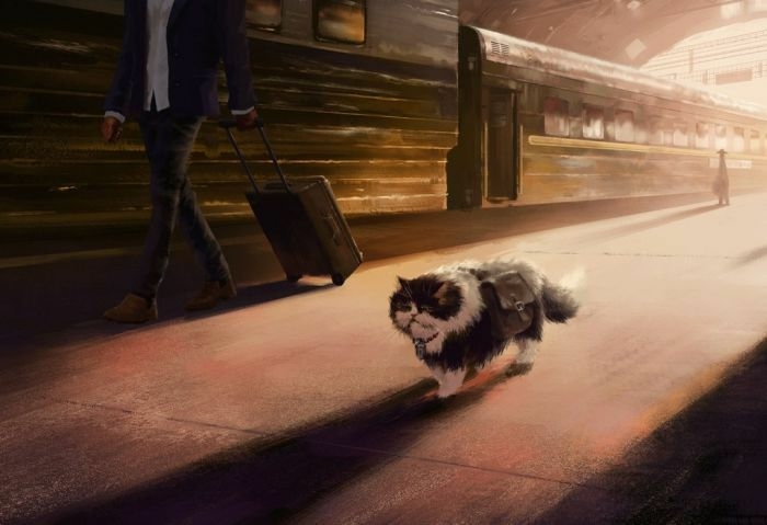 Похождения Кота-путешественника